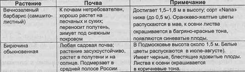 благоустройство участка растения для живой изгороди